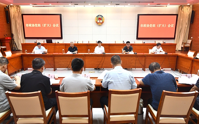 市政协召开党组（扩大）会议