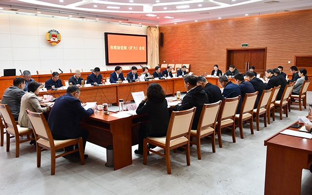 市政协召开党组（扩大）会议
